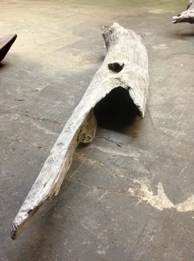 Natural driftwood 04