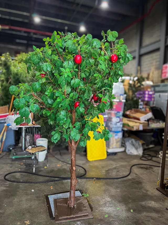 Apple tree