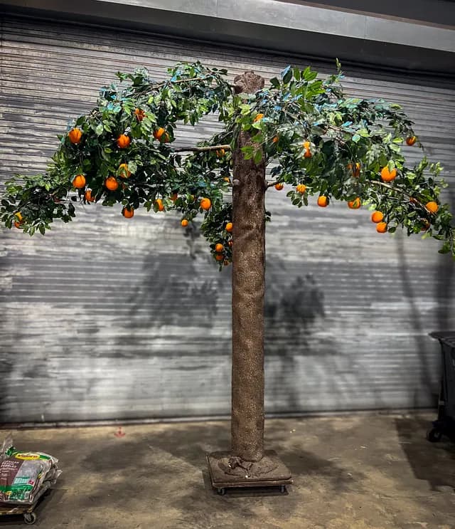 Orange tree 02
