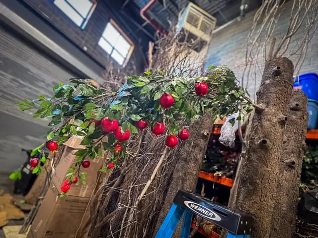Pomegranate branch