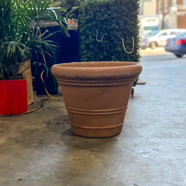 Planter 10