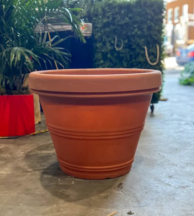Oversized terracotta planter