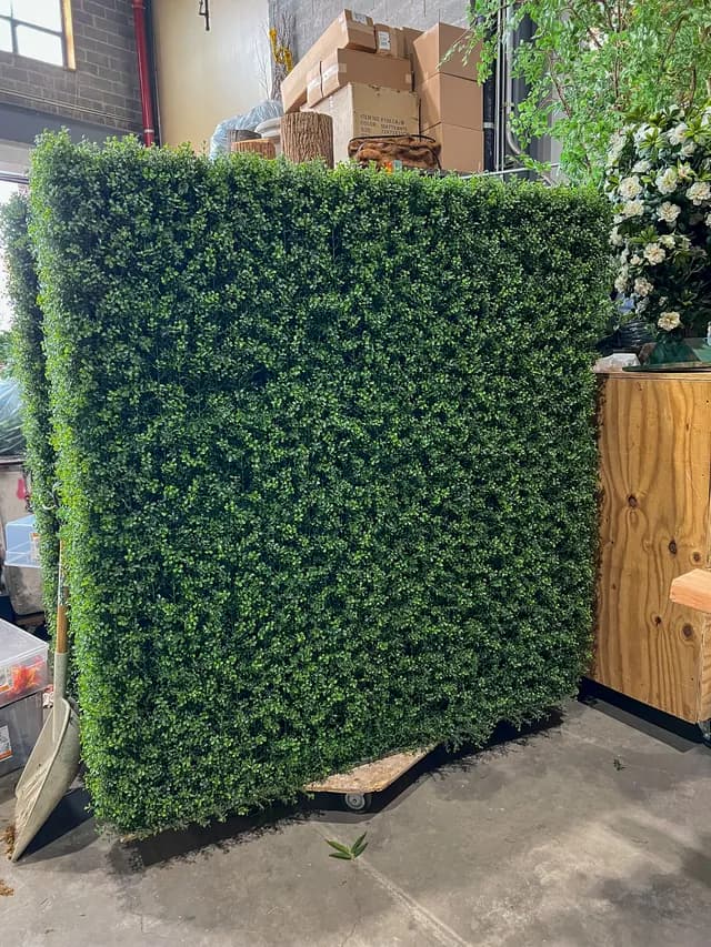 Hedge wall 03