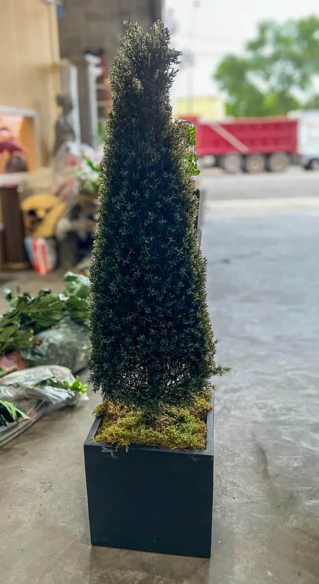 Topiary 01