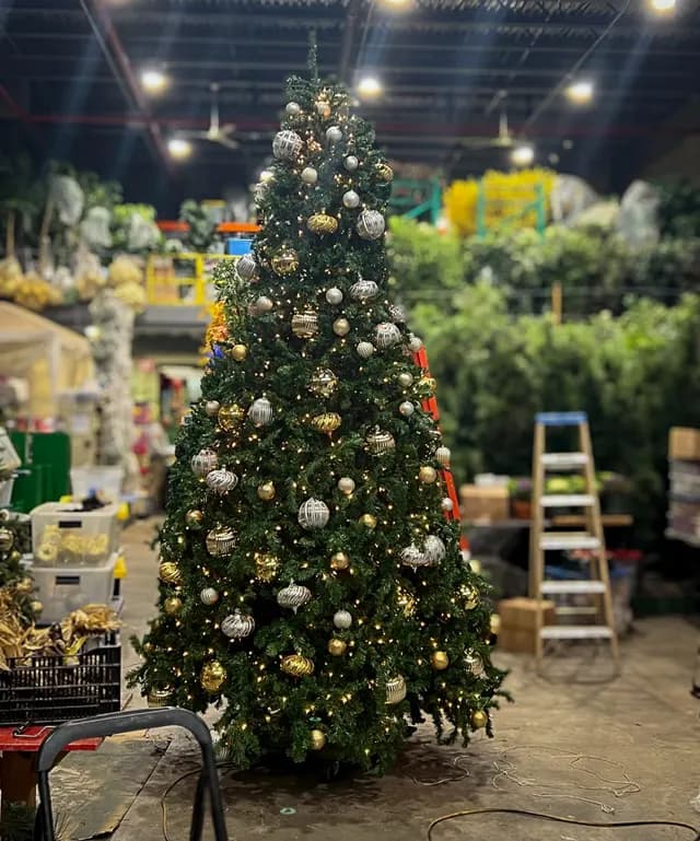 Decorated Christmas tree