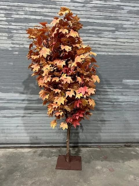 Autumn foliage tree 01