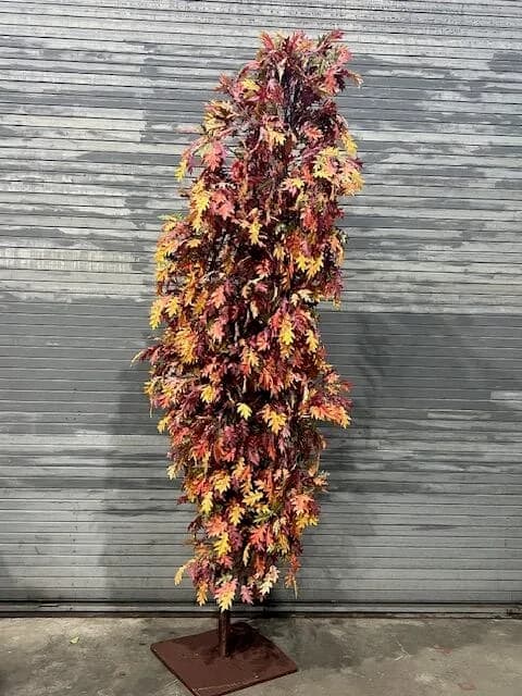 Autumn foliage tree 03