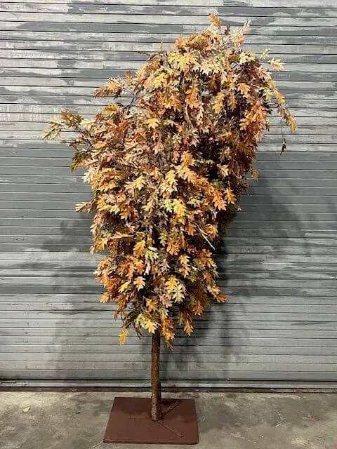 Autumn foliage tree 04