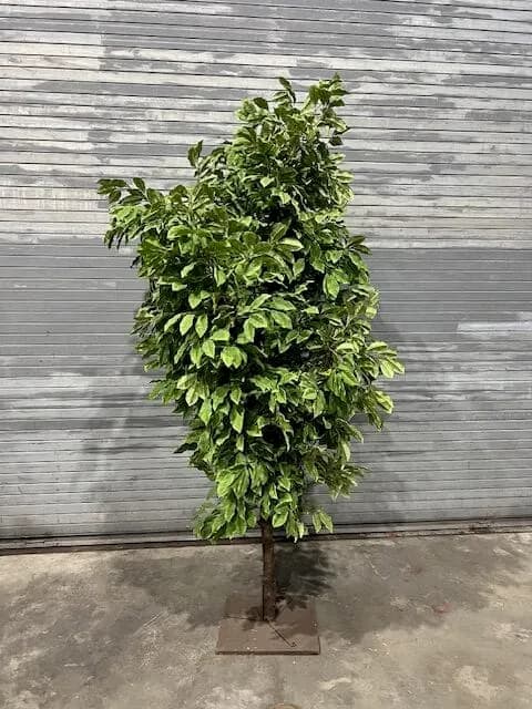 Artificial foliage tree from Foliage & Floral inventory