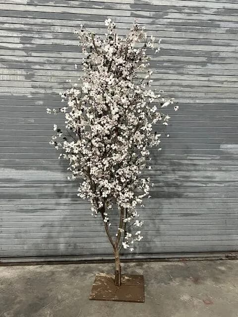 Flowering tree 03